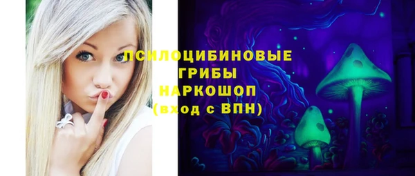 тгк Гусев