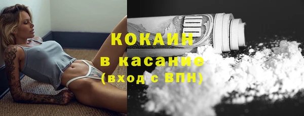 крисы Дмитриев