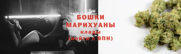 бутират Гусь-Хрустальный