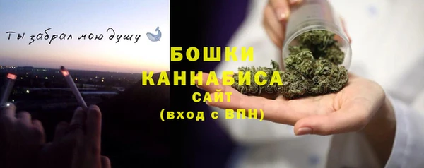 тгк Гусев