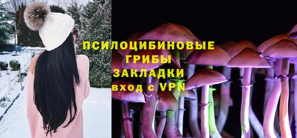 тгк Гусев
