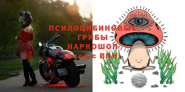 бутират Гусь-Хрустальный