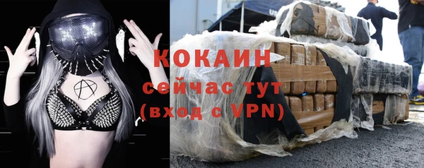 тгк Гусев