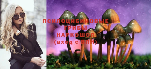 jwh Дмитров