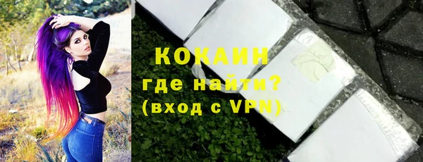 тгк Гусев