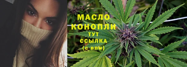 тгк Гусев